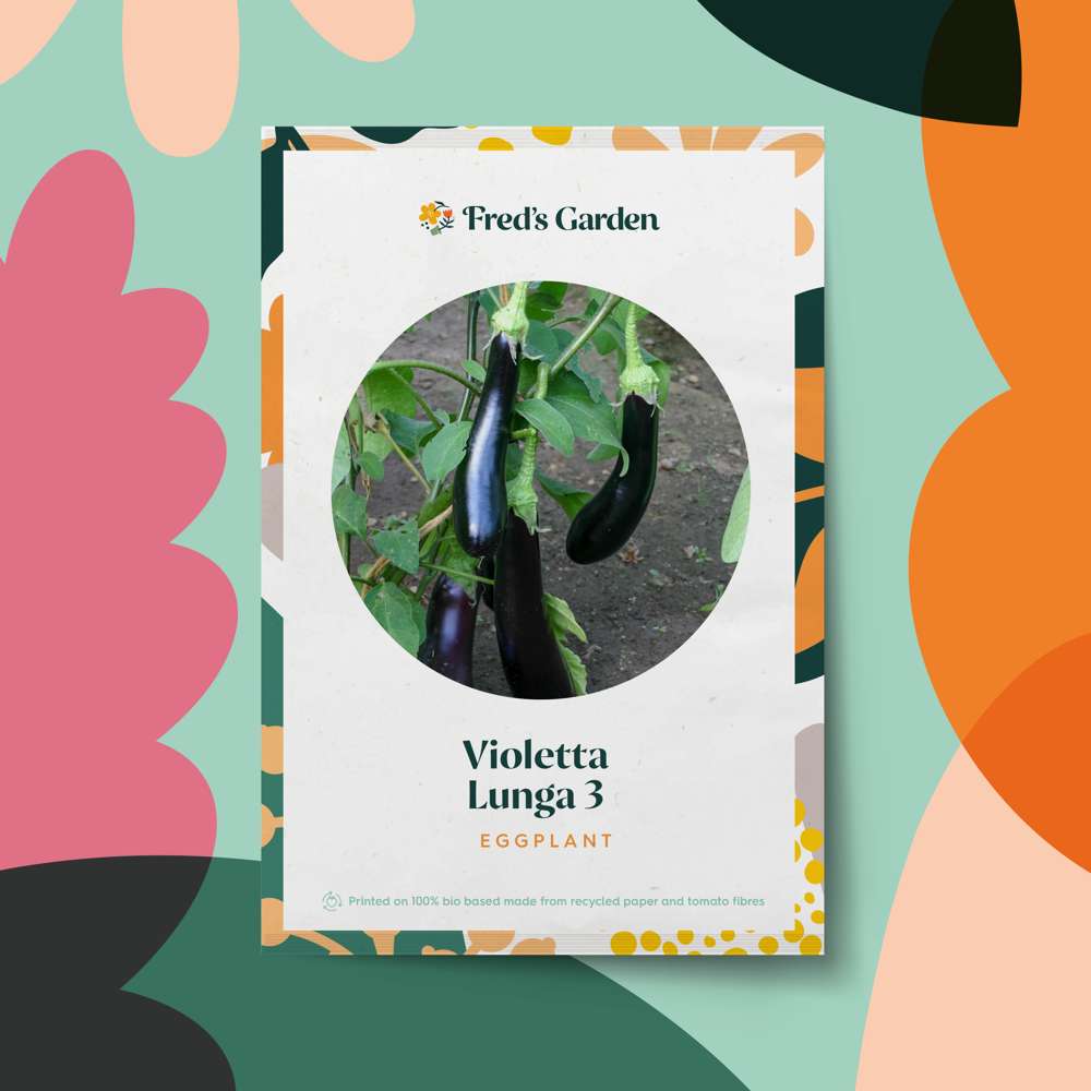 Aubergine 'Violetta Lunga 3' (frö)